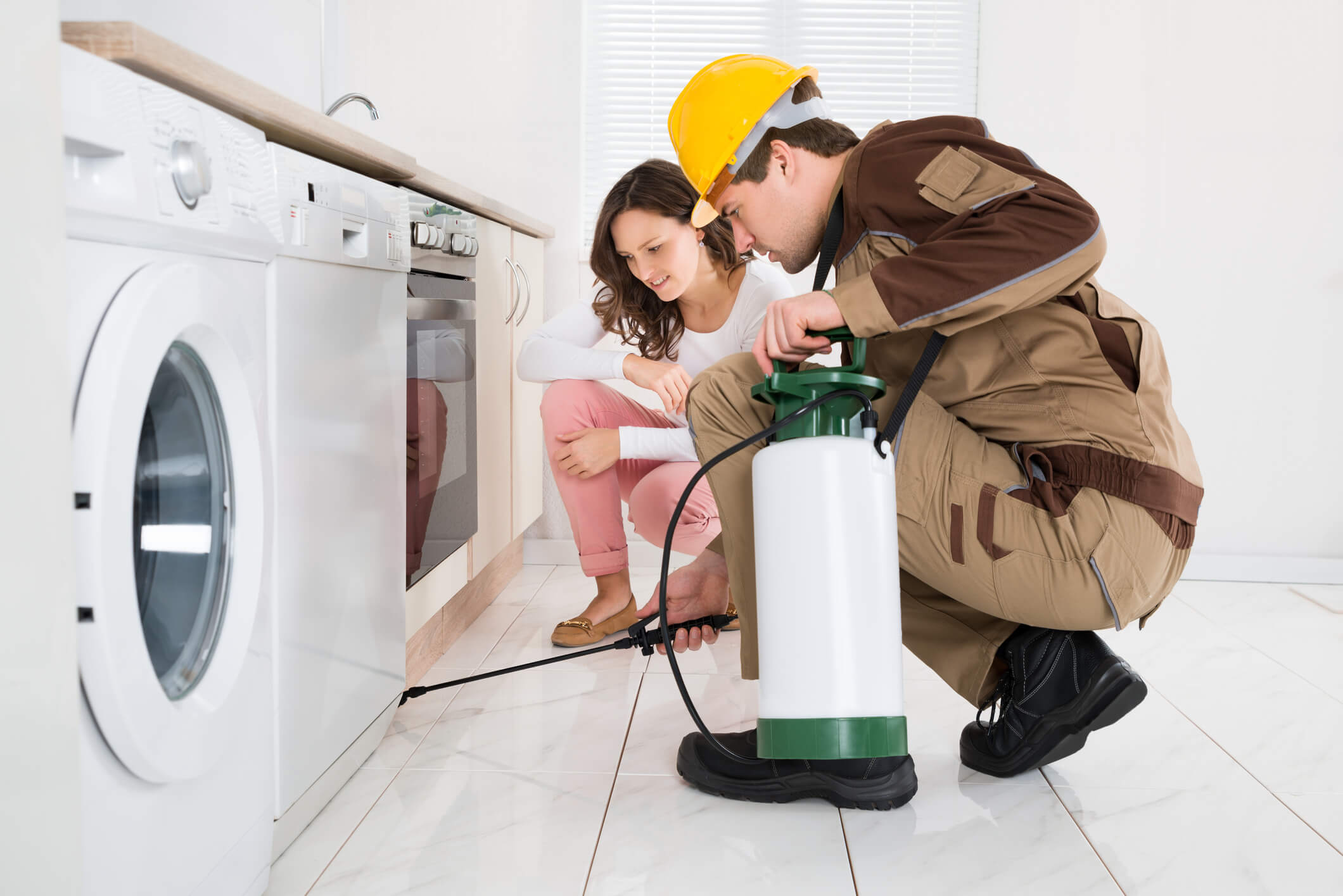 Pest Control Pest Control