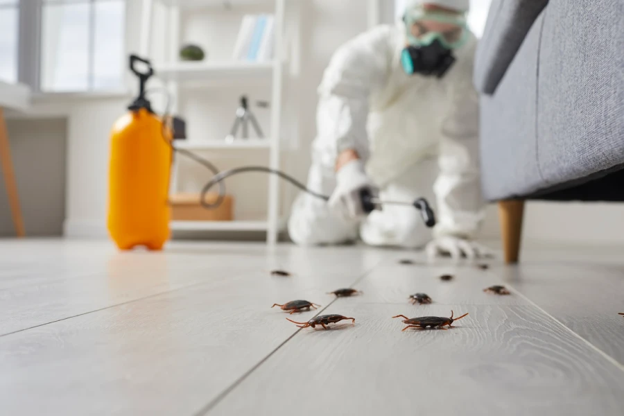 Cockroach Extermination