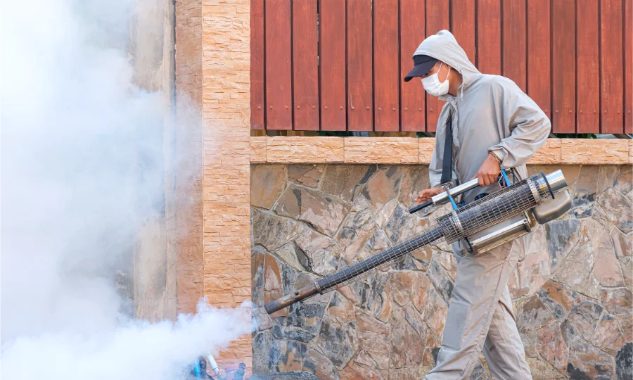 Common Mistakes to Avoid During Flea Control Services in Hobbs, NM Common Mistakes to Avoid During Flea Control Services in Hobbs, NM
