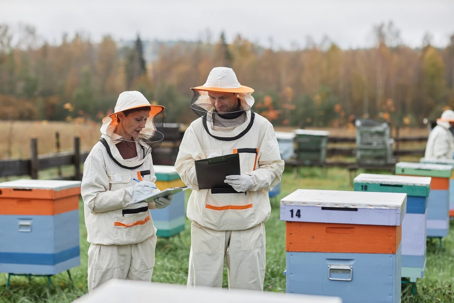 How To Identify A Bee Infestation On Your Property Hobbs, NM How To Identify A Bee Infestation On Your Property Hobbs, NM