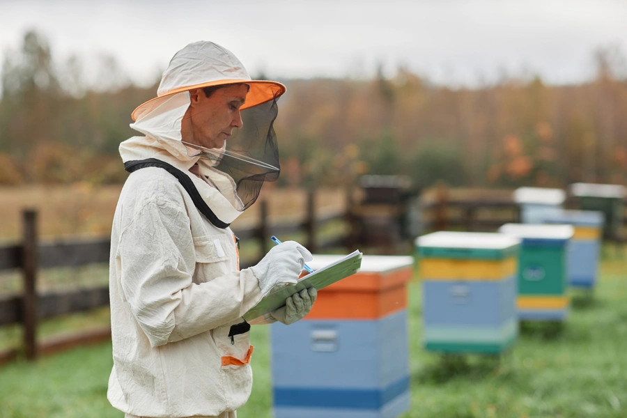 Professional Bee Control Hobbs, NM