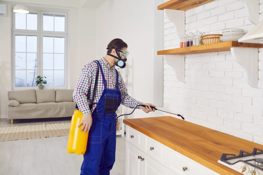 Professional Pest Control Company in Hobbs, NM
