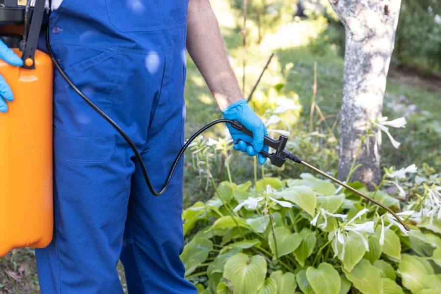 Weed Control Service