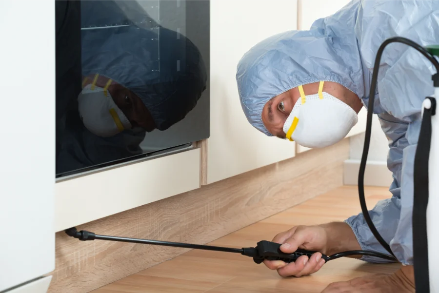 Reliable Cockroach Extermination in Hobbs, NM